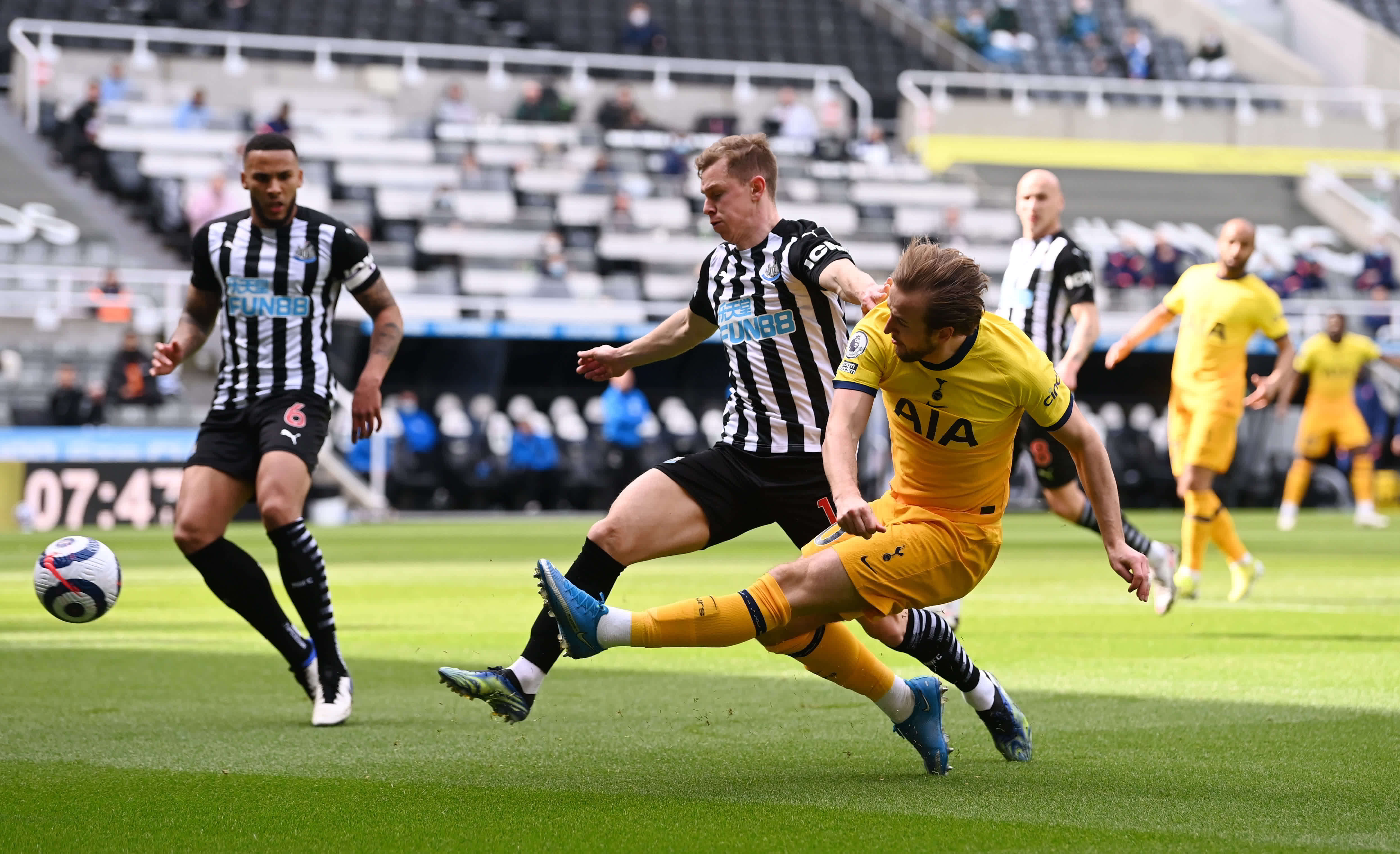 有的成熟组 有的成熟组