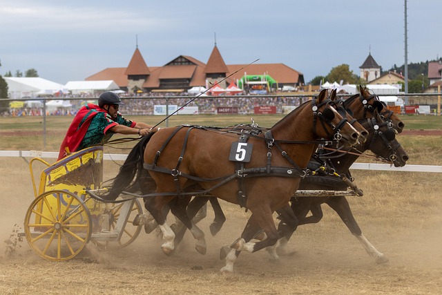 西甲联赛中 西甲联赛中